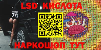 мдпв Ипатово
