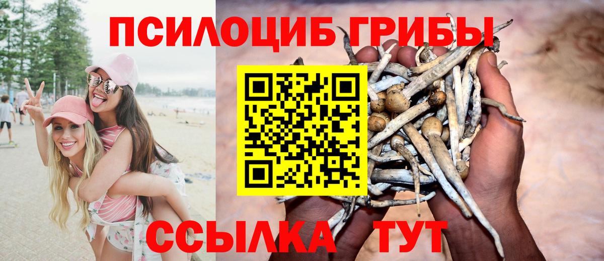 Псилоцибиновые грибы Psilocybine cubensis  Галлюциногенные грибы мицелий  Вход с VPN  Усть-Джегута 