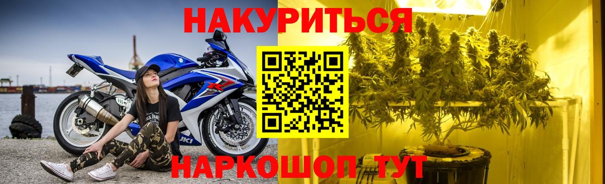 Бошки марихуана семена  Шишки марихуана AK-47  Усть-Джегута  Вход с VPN  Марихуана Amnesia 